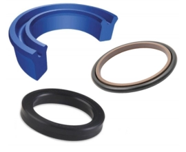 Rotary shaft seal