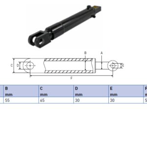 Hydraulic cylinder Palfinger/MBB 50/55/550