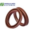 Shaft seal 35x52x5.5/6 BAFSL1SF FPM