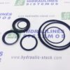 Hydraulic motor MS 35x48x5.5 seal kit