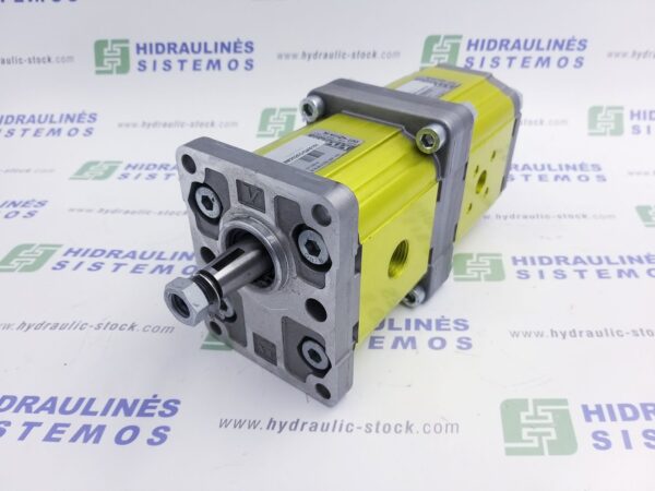 GR2/2 17.0+17.0 cm3/r gear pump multiple D-1/8(10)-A