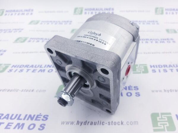 06 cm3 gear motor GR2 2XM-A-060-R-EUR-H-N-10-0-G12G12-DRENG14