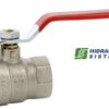Low pressure valve 1/4' female - female