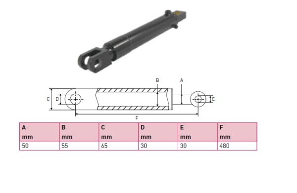 Hydraulic cylinder Behrens Eurolift 50/55/480 for bend