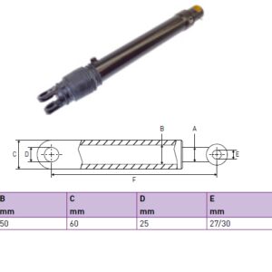 Hydraulic cylinder Dhollandia 30/50/590
