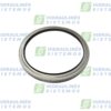 Wiper brass 100x120x9 FKM/SS