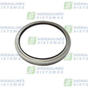 Wiper brass 100x120x9 FKM/SS