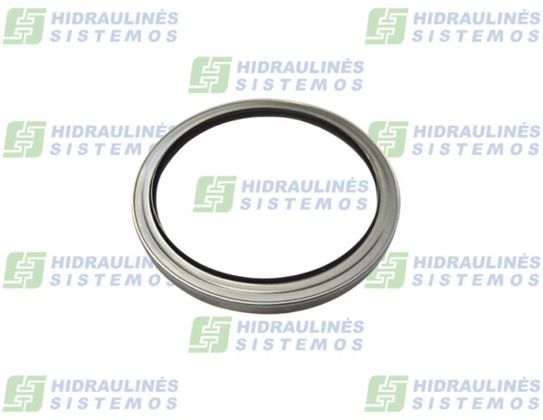 Wiper brass 100x120x9 FKM/SS