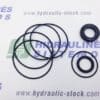 Hydraulic motor MM 17x28x5.5 seal kit