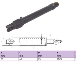 Hydraulic cylinder Dhollandia 30/50/530