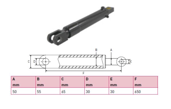Hydraulic cylinder Behrens Eurolift 50/55/650 for bend