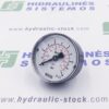 Pressure gauge 0/12 bar. d-53 BSP 1/4'BSP