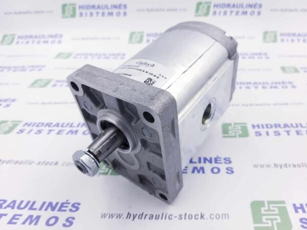 GR2 31.0 cm3/r gear pump 2XP-A-310-D-EUR-B-N-10-0-G34G12