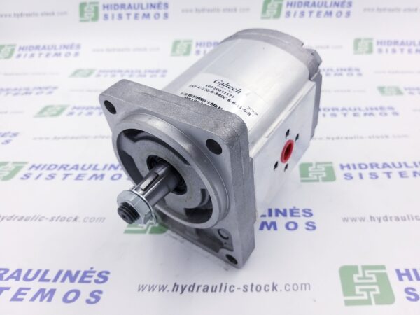 GR2 22.0 cm3/r gear pump D-B80C 1:5(11)-N