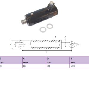Hydraulic cylinder Dhollandia 35/70/198 for bend