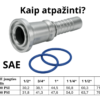 Thermoplastic hose – custom-made