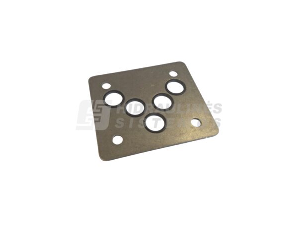 Linde pump HPV75-02R port plate