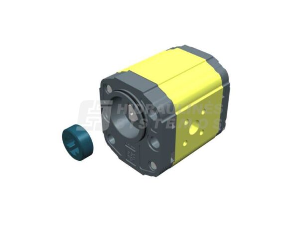GR2 09.0 cm3 Gear pump XV-2P/09 cm3/rev BH52 X2P4531CSRA Vivoil