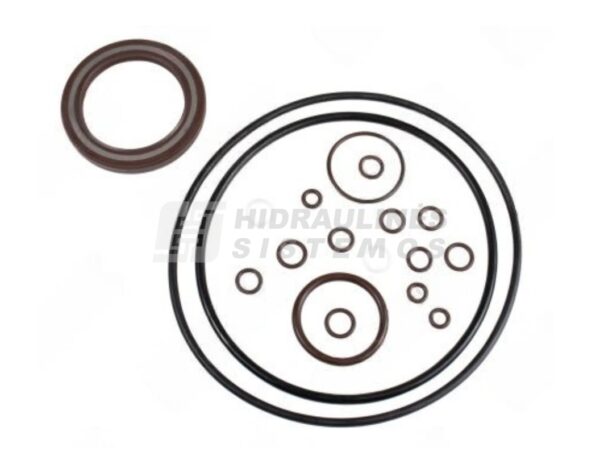 Hydraulic motor A6VM55 seal kit series 6.3 ASP