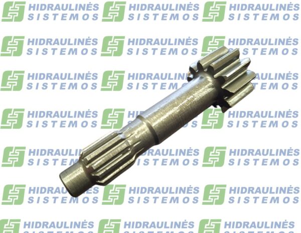 Hidrovariklio ašis 7009173
