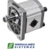 GR2 25.0 cm3/r gear pump D-E 1:8(10)-N