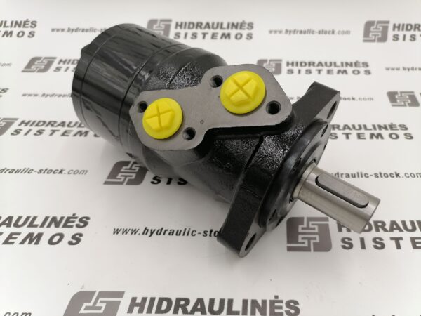 Hydraulic motor MR 100 C 25mm shaft, ALSG2-L-100-O2-C25-01 Ambr