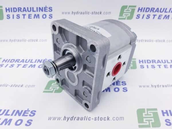 11 cm3 gear motor GR2 M-1/8(10)-E-N