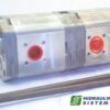 GR2/2 19.0+08.0 cm3/r gear pump multiple D