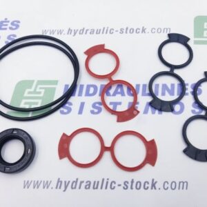 GR2 motor seal kit 2SM 18x30x7 10 bar Galtech