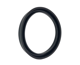 Rod seals GDI