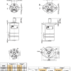 Hydraulic motor MM 08 C 16mm shaft, ALSG4-8-OK3-C16-PT-01 Ambr