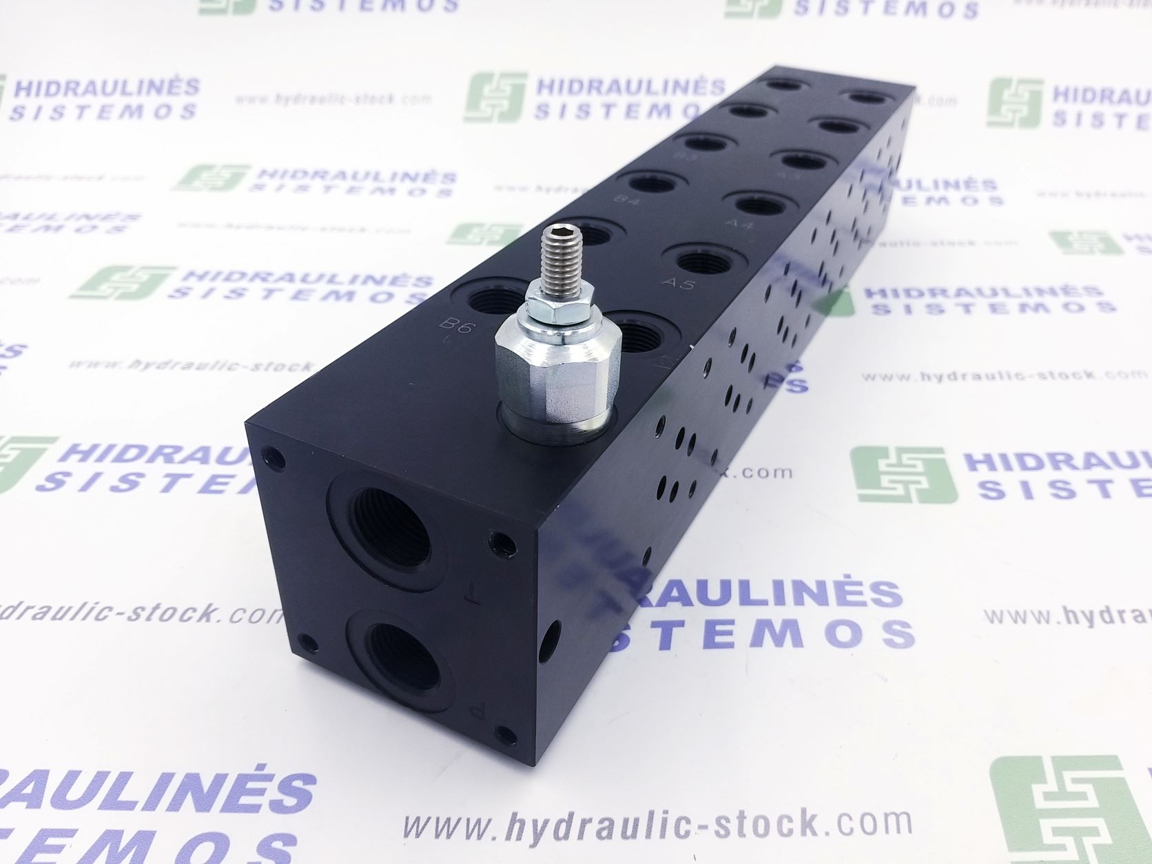 Hydraulic manifold NG6x6 EAM233/6Z
