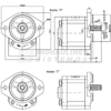 GR2 23.0 cm3/r gear pump SAE/A 16/32 SINGLE WITH SIDE OR REAR PORTS