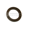 SECONDARY SEAL 25/2520V/VQ VITON