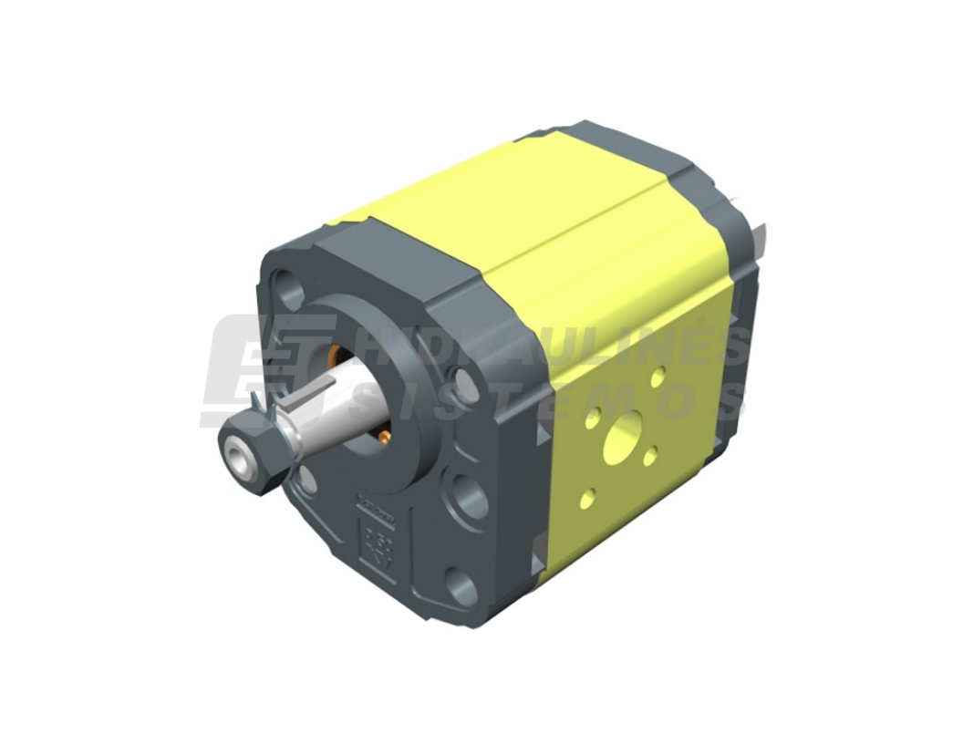 GR2 14.0 cm3 gear pump XV-2P/14 cm3/rev HY50 X2P4922FSRA