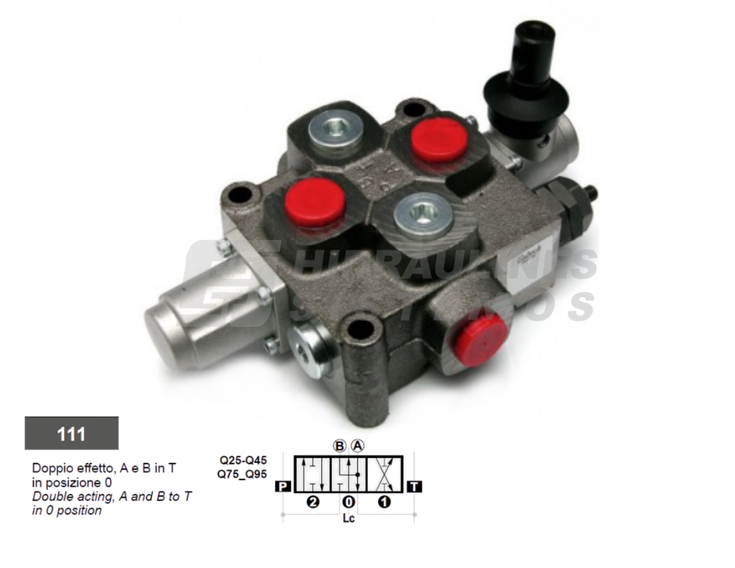 Control valve 1 sec. 120 ltr. Q95 3/4' BSP 1x111, for motors