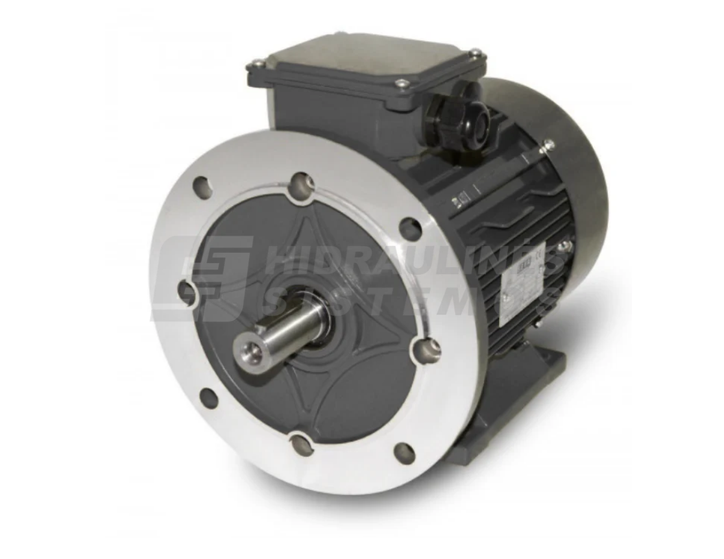 Electric motor 400/690V 3.0kW OMT4 100L2-4 B35 PTC