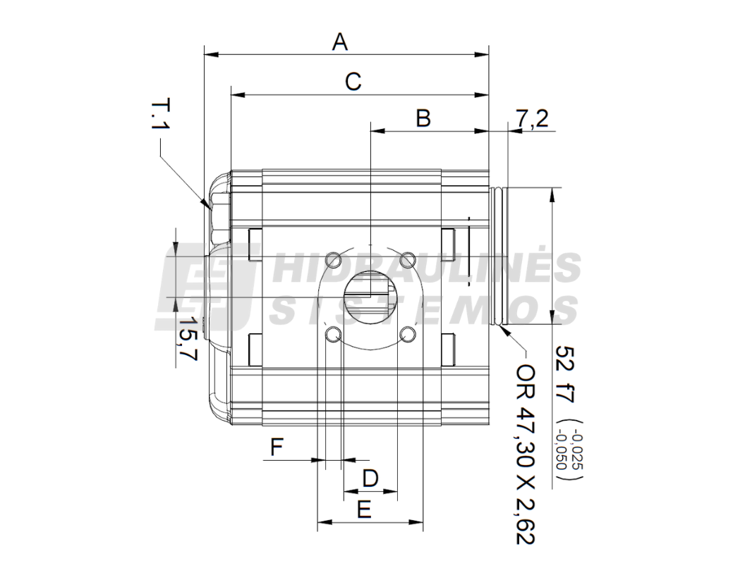 GR2 09.0 cm3 Gear pump XV-2P/09 cm3/rev BH52 X2P4531CSRA Vivoil